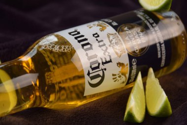 Kharkiv, Ukrayna, 2 Nisan 2025: Koyu arkaplanda buzlu ve limonlu Corona Ekstra Birası.