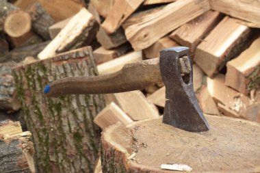 Kesilen ağaç bir yığın halinde yığıldı. Kış için hazırlık.