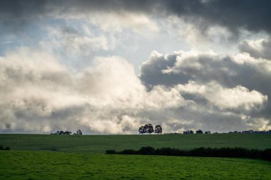 İlkbaharda çayırda tarım.