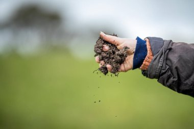 Avustralya 'da bir çiftlikte toprak örneği tutan bir kız.