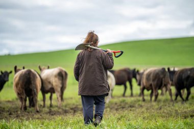 tarımda çalışan kadınlar Amerika 'da bir çiftlikte çalışıyorlar. Toprak bilimci toprak örneği alıyor. mikroorganizmalar ve mantarlar için test
