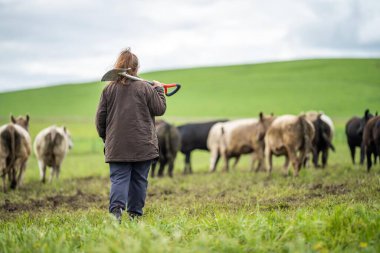Topraktaki karbon ellerde tutuluyor