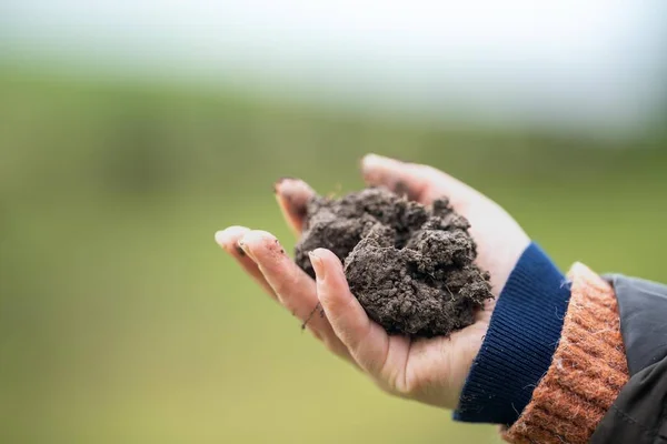 carbon in soil being held in the hands