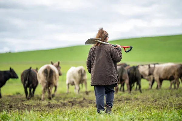 stock image female farmer testing soil on a farm