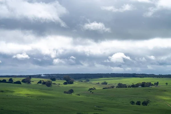 Green Rolling Hills Farm Land Field Spring Time — Stock Photo, Image