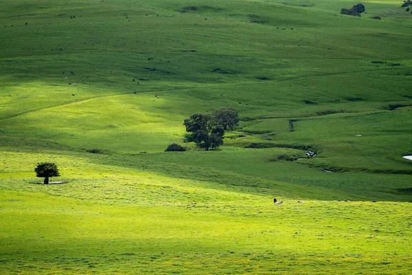 Πράσινοι Λόφοι Γεωργικής Γης Αγρό Την Άνοιξη — Φωτογραφία Αρχείου