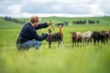 Tarım ilkbaharda bir çiftlikteki toprağa bakıyor..