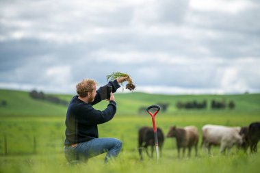 Yenileyici organik çiftçi, teknoloji kullanıyor, telefon toprak örnekleri alıyor ve bir çiftlikteki bitki gelişimine bakıyor. sürdürülebilir tarım uygulaması 