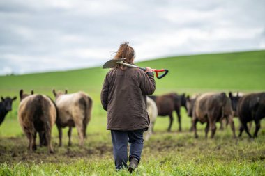 tarımda çalışan kadınlar Amerika 'da bir çiftlikte çalışıyorlar. Toprak bilimci toprak örneği alıyor. mikroorganizmalar ve mantarlar için test