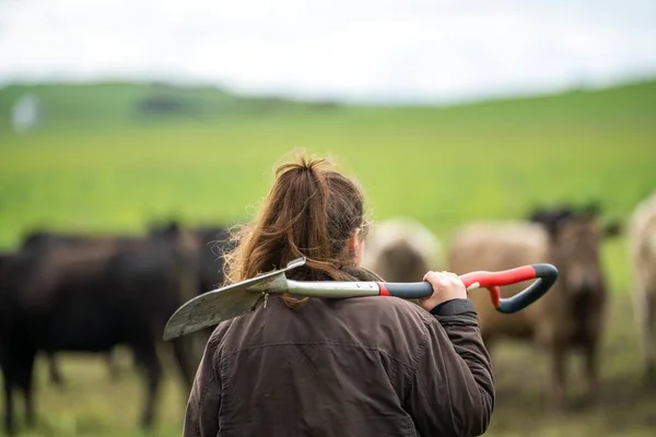 stock image girl holding a soil sample on a farm in Australia