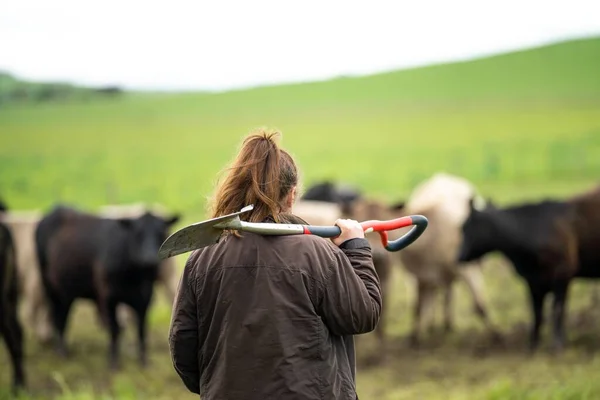female farmer testing soil on a farm