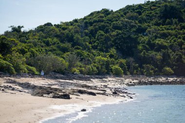 Yazın Queensland Avustralya 'da okyanusta yatlar ve tekneler.