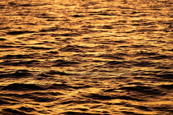 春のオーストラリアの日没時に海でヨットをしています — ストック写真