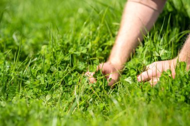 çiftçiler ve tarım endüstrisi ile iklim değişikliği ile birlikte tarımsal alanda yapılan toprak karbon bilim adamı araştırmaları
