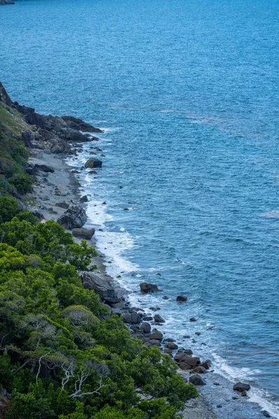 Gattern Queenland Australia Einer Tropischen Inselküste Frühling — Stockfoto