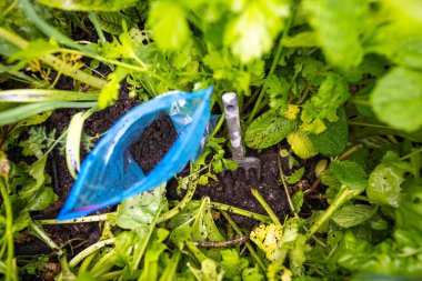 Baharda Avustralya 'da bir çiftlikteki bir bahçeden toprak örneği alıyorum.