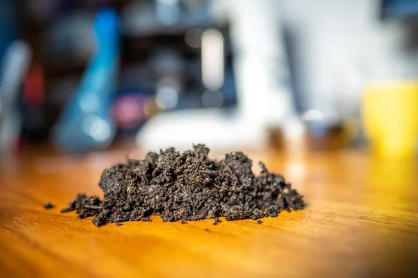 Stock image conducting a soil test in a home lab. soil on a table. brown dirt in a field. pile of soil and compost