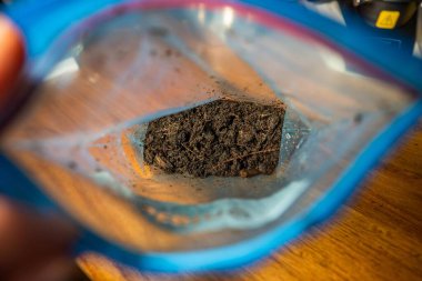 Toprak örnekleriyle bir toprak laboratuvarında çalışmak Avustralya 'da bir toprak testini test etmek.