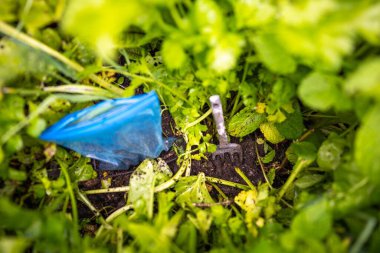 Toprak örnekleriyle bir toprak laboratuvarında çalışmak Avustralya 'da bir toprak testini test etmek.