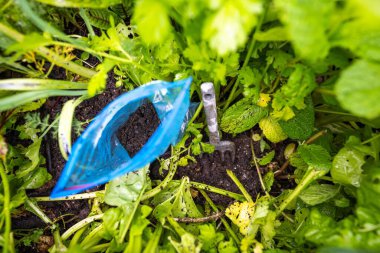 Toprak örnekleriyle bir toprak laboratuvarında çalışmak Avustralya 'da bir toprak testini test etmek.