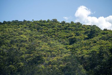 İlkbaharda Queensland Avustralya 'da tropik adalar ve süper yatlar