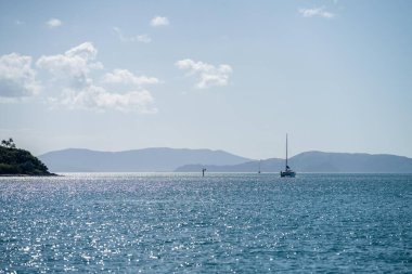 Avustralya, Queensland 'de turist tekneleri ve tur tekneleri. Büyük Set Resifi 'ndeki gezginler, mercan ve balıkların üzerinde. Gençlerin turizm yatları