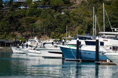 Avustralya, Queensland 'de turist tekneleri ve tur tekneleri. Büyük Set Resifi 'ndeki gezginler, mercan ve balıkların üzerinde. Gençlerin turizm yatları