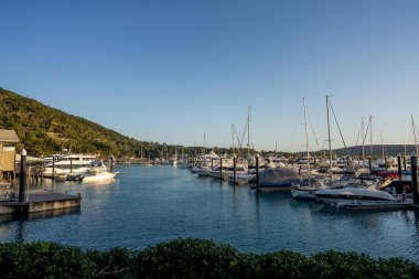 Turistler yaz boyunca Queensland Avustralya 'daki Hamilton Adası' nda yürüyorlar. 