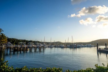 Turistler yaz boyunca Queensland Avustralya 'daki Hamilton Adası' nda yürüyorlar. 