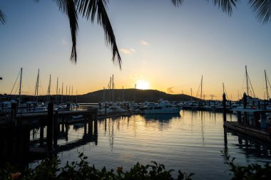 Turistler yaz boyunca Queensland Avustralya 'daki Hamilton Adası' nda yürüyorlar. 