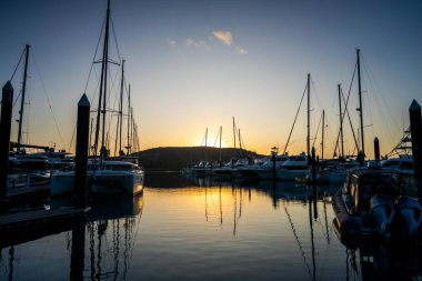 Turistler yaz boyunca Queensland Avustralya 'daki Hamilton Adası' nda yürüyorlar. 