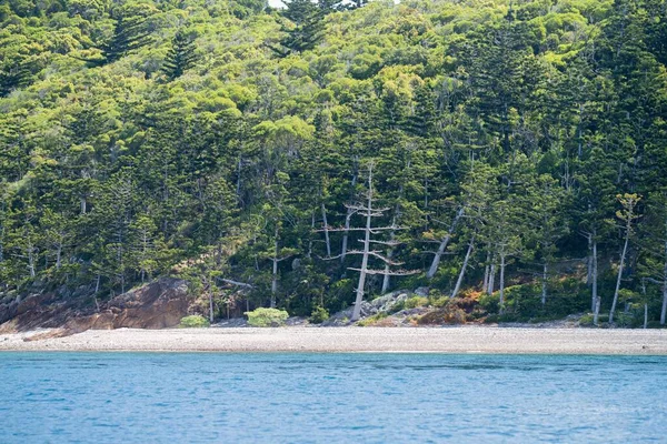 热带岛屿和春季澳大利亚女王岛的超级游艇 — 图库照片