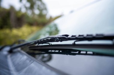 Auatralia 'daki bir arabaya cam sileceği yakın.