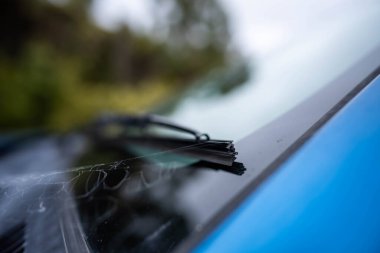 Auatralia 'daki bir arabaya cam sileceği yakın.