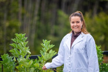 Tarım alanında çalışan bitki bilimci, toprak bilimci Amerika 'da toprak mikroorganizmaları işliyor