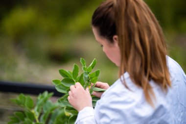 Amerika 'da bir üniversitede toprak bilimi yapan kadın bitki bilimci.