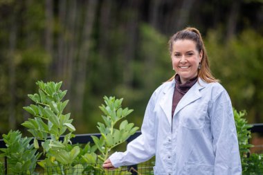 Kadın bilim adamı Amerika 'daki bir tarladan toprak ve bitki örnekleri alıyor.