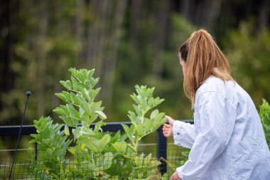Dişi çiftçiler çiftlikte bitki yetiştiriyor.