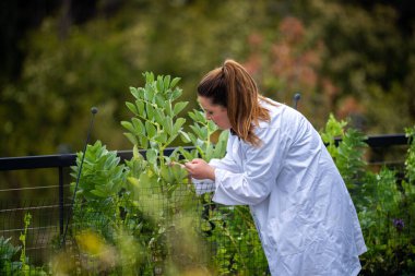 Bir üniversitede bilim kadını. Amerika 'da bitki bilimi üzerine deneyler yapıyorum.