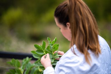 Dişi çiftçiler çiftlikte bitki yetiştiriyor.