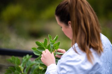 Bir üniversitede bilim kadını. Amerika 'da bitki bilimi üzerine deneyler yapıyorum.