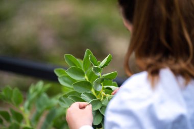 Dişi çiftçiler çiftlikte bitki yetiştiriyor.