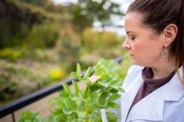 Kadın bilim adamı Amerika 'daki bir tarladan toprak ve bitki örnekleri alıyor.