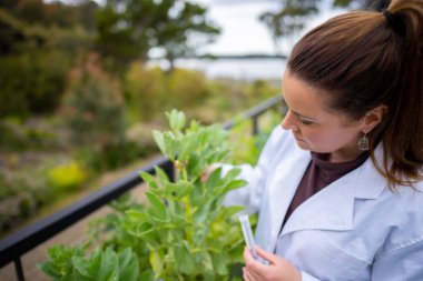 Dişi çiftçiler çiftlikte bitki yetiştiriyor.