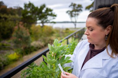 Bir üniversitede bilim kadını. Amerika 'da bitki bilimi üzerine deneyler yapıyorum.
