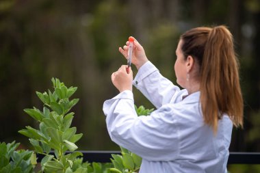 Dişi çiftçiler çiftlikte bitki yetiştiriyor.