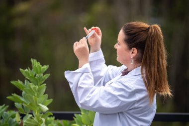 Kadın bilim adamı Amerika 'daki bir tarladan toprak ve bitki örnekleri alıyor.