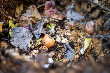 Amerika ve Avustralya 'da, mikroorganizmalarla dolu bir toprak besin ağı termofilik gübre yığınını dönüştürmek. Baharda