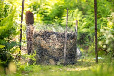 gübre yığınına yiyecek atığı eklemek. Yumurta kabuğu, sebze ve meyve kırıntıları Avustralya 'da bir ev bahçesinde gübre oluşturuyor.