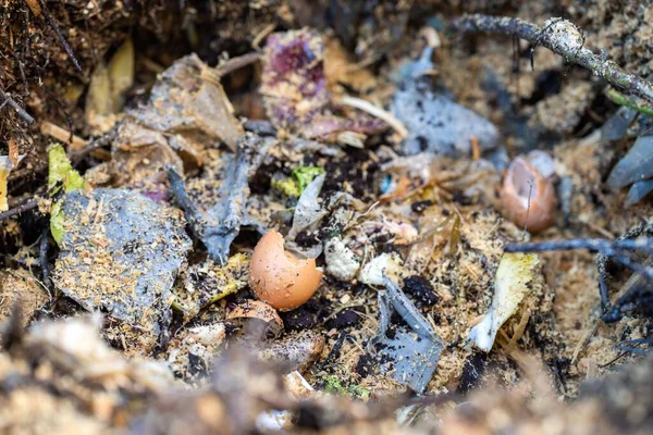 adding food waste to a compost pile. egg shell, vegetable, and fruit scraps turning a compost in a home garden in australia